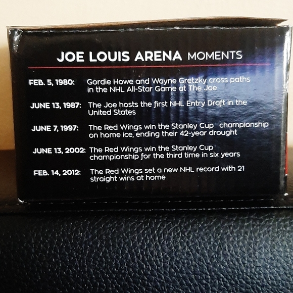 NHL Joe Louis Arena Replica - Picture 2 of 7